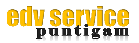 EDV-Service Puntigam